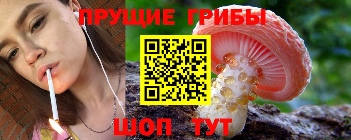 Галлюциногенные грибы мицелий Грозный