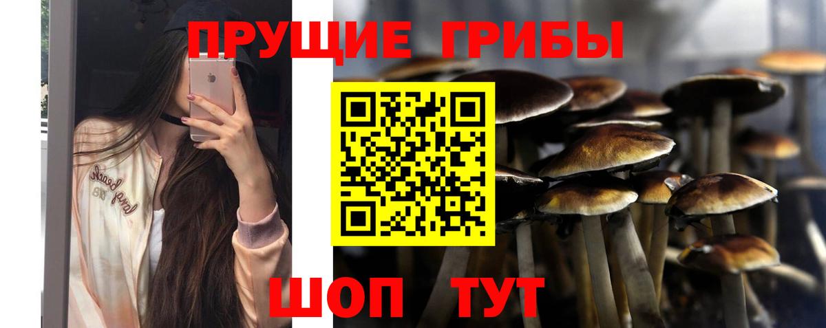 Псилоцибиновые грибы мицелий  Галлюциногенные грибы мухоморы  Грозный  Вход с VPN 